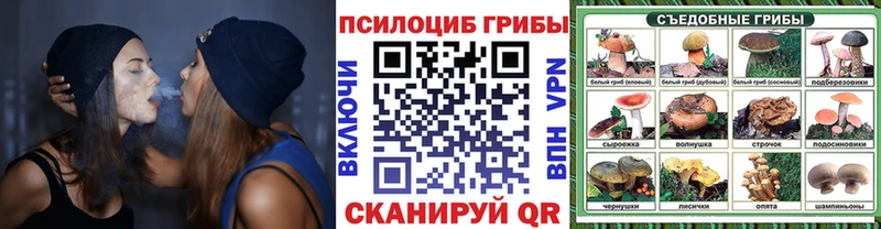 Псилоцибиновые грибы Cubensis Заозёрный